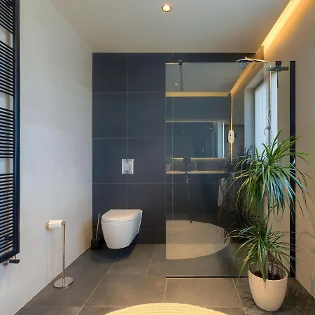 Penthouse Mira By Interhome * Umag